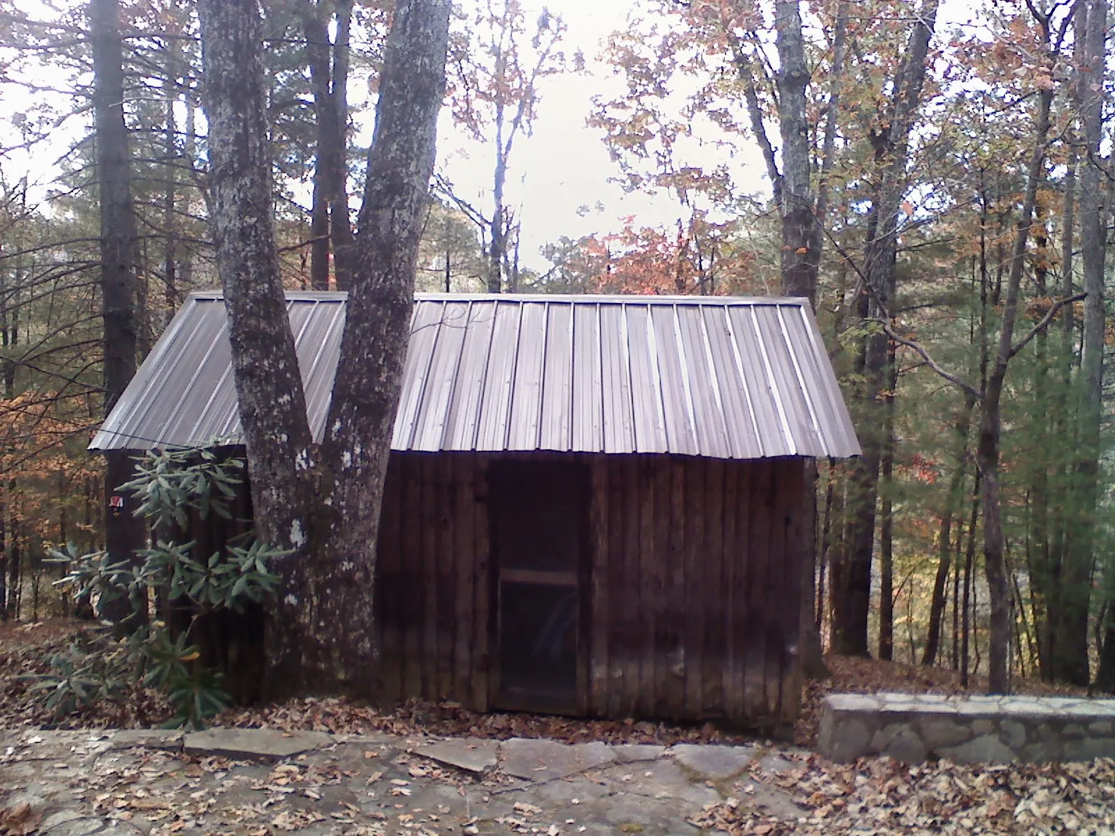 New metal gable roof on a small log shed among the trees in Pottsville